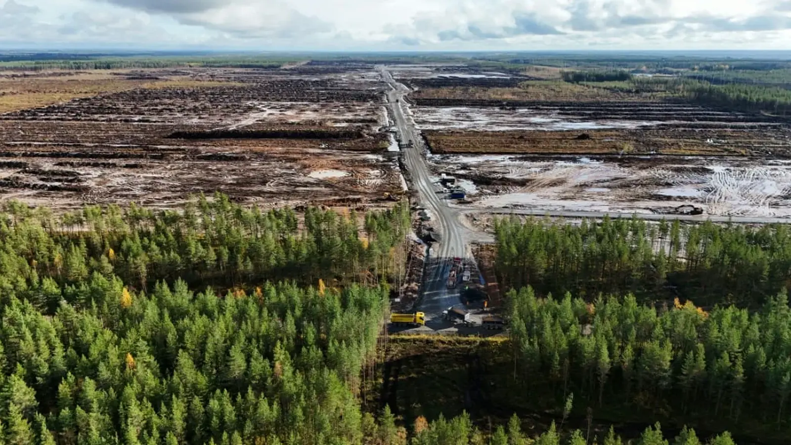 Google'i süüdistatakse Soomes 300 ha metsa raiumises