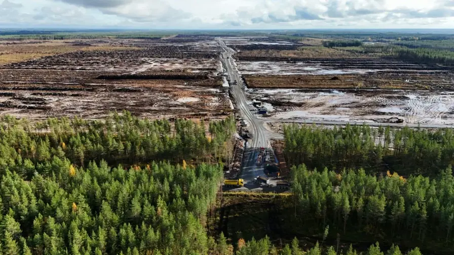 Google'i süüdistatakse Soomes 300 ha metsa raiumises